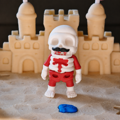 Sir Mortimer